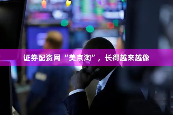 证劵配资网 “美京淘”，长得越来越像