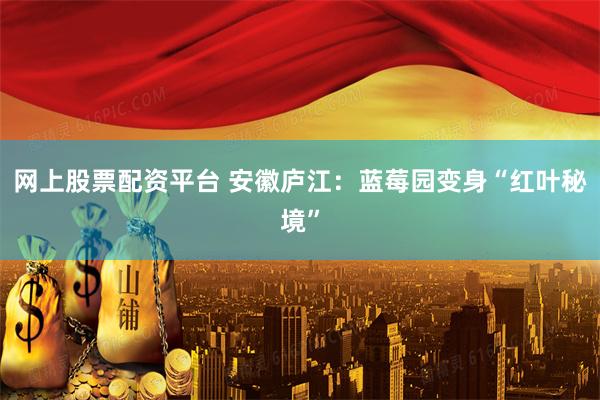 网上股票配资平台 安徽庐江：蓝莓园变身“红叶秘境”